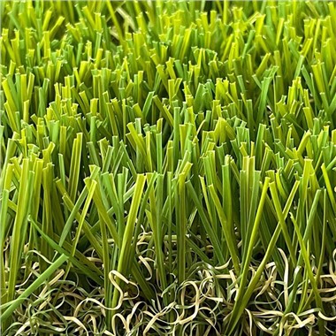 Carpet Grass Garden